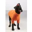 Rydale Yapham Fleece Dog Jumper - Orange