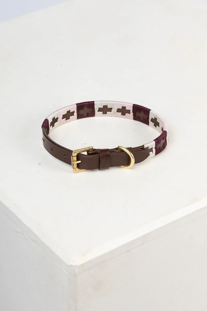 Rydale Polo Belt Dog Collar - Berry/White/Sorbet