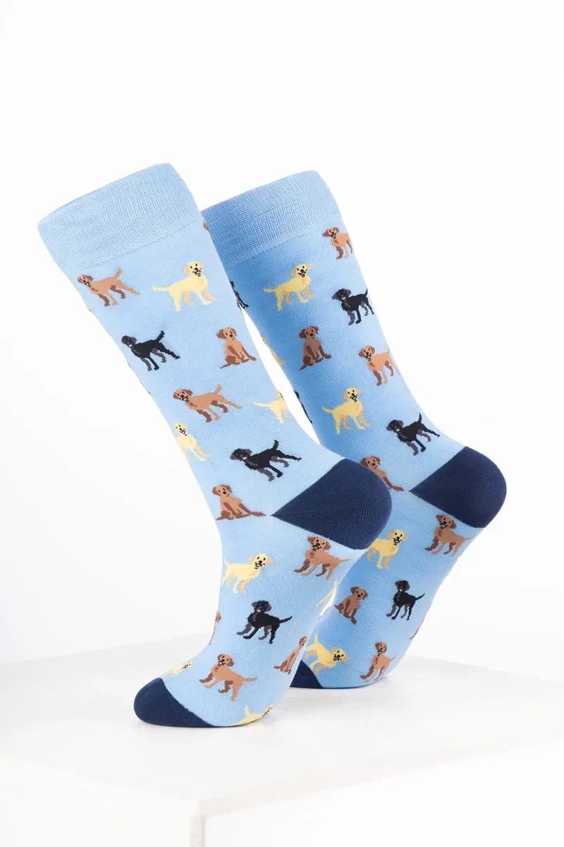 Rydale Women's Bamboo Rich Dog Ankle Socks Pack of 10 - Labrador Soft Blue-1