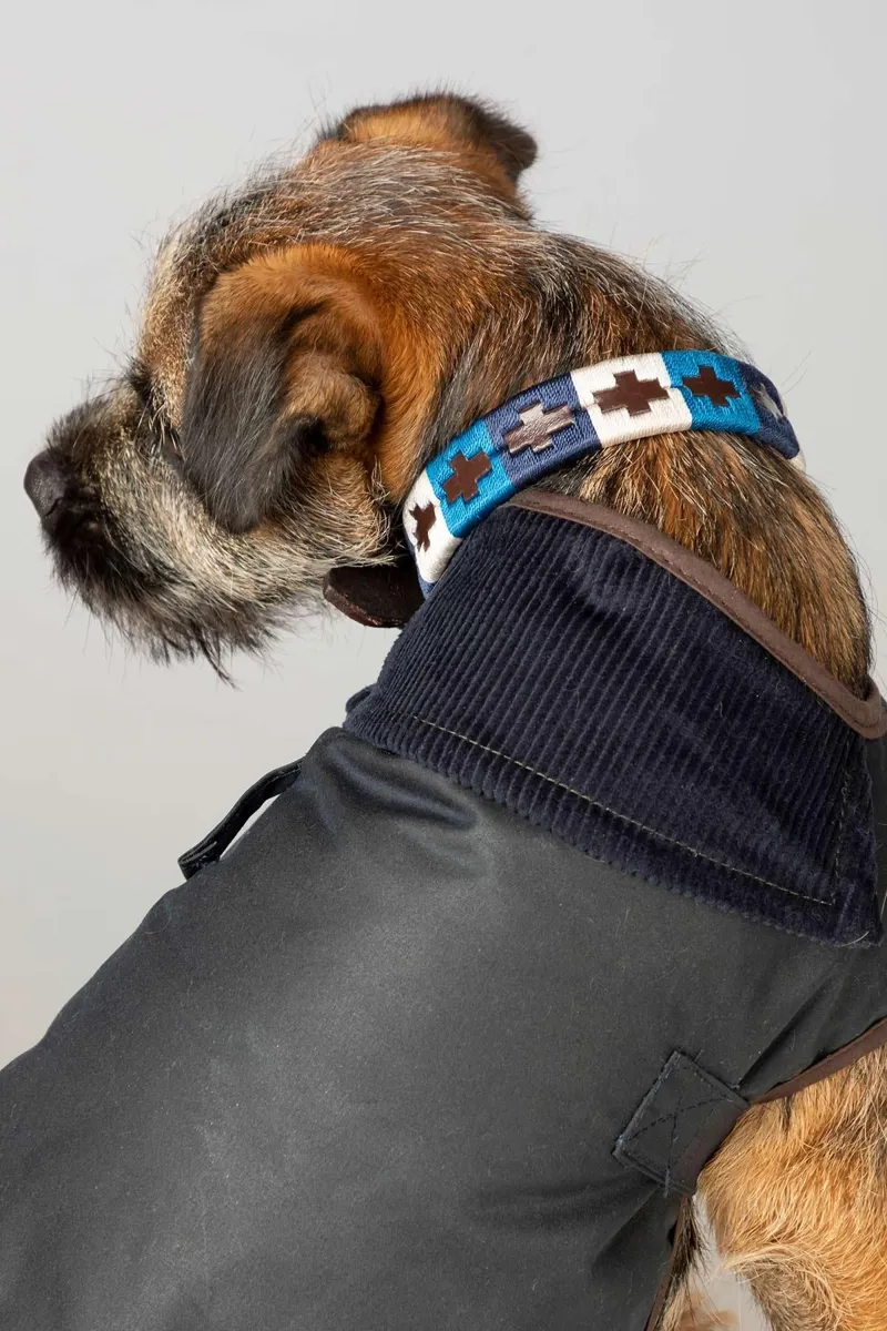 Rydale Polo Belt Dog Collar - Blue/White/Navy-2