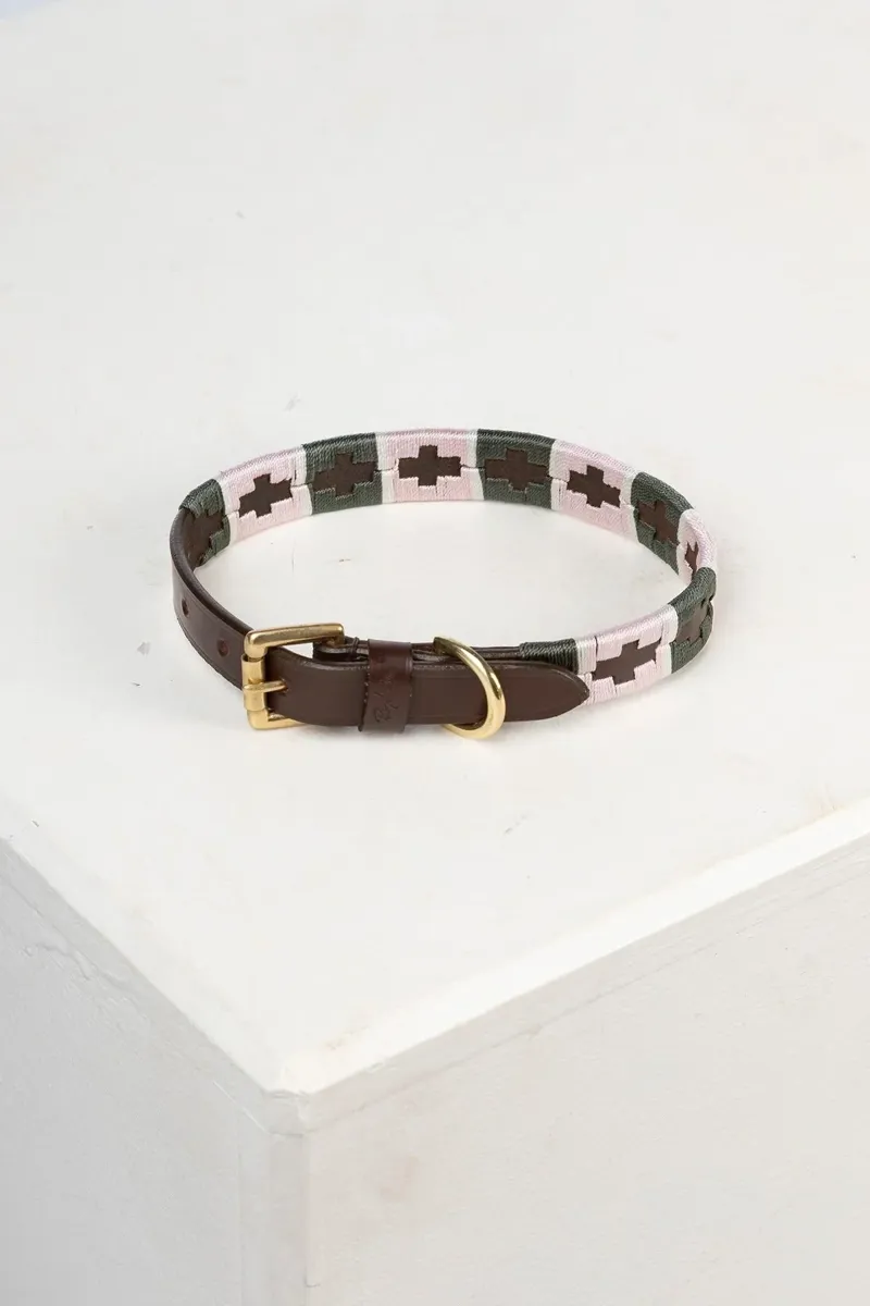 Rydale Polo Belt Dog Collar - Olive/White/Sorbet