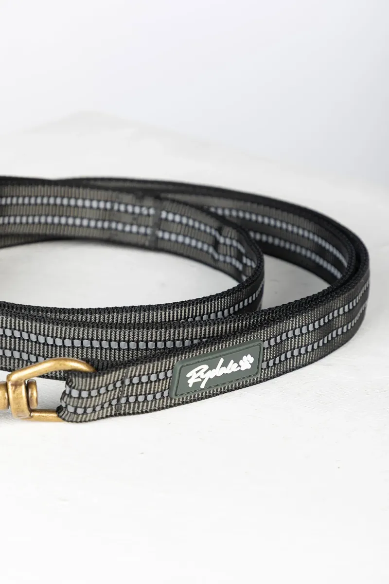 Rydale Reflective Yapham Dog Lead - Blue-2