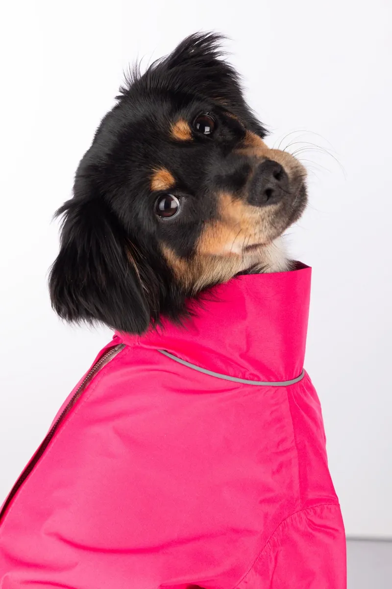 Rydale Yapham Dog Raincoats - Bonbon-2