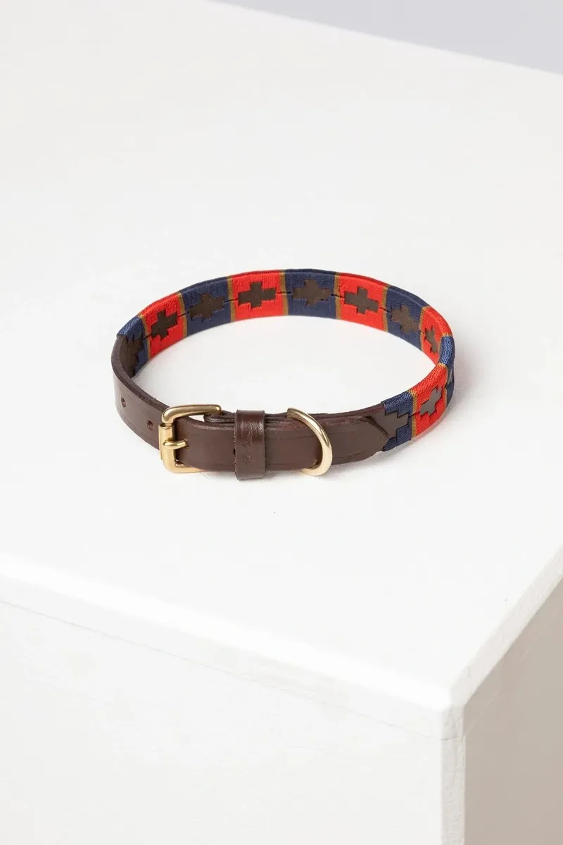 Rydale Polo Belt Dog Collar - Navy/Red/Gold