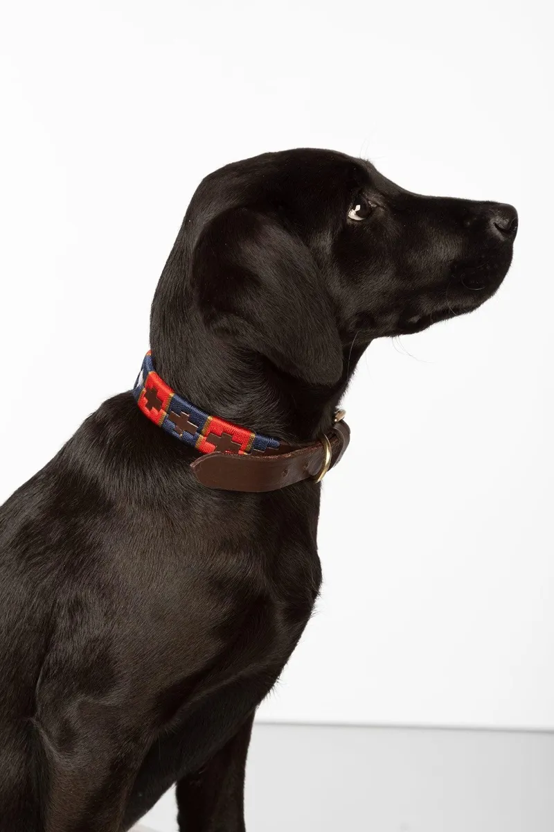 Rydale Polo Belt Dog Collar - Navy/Red/Gold-2