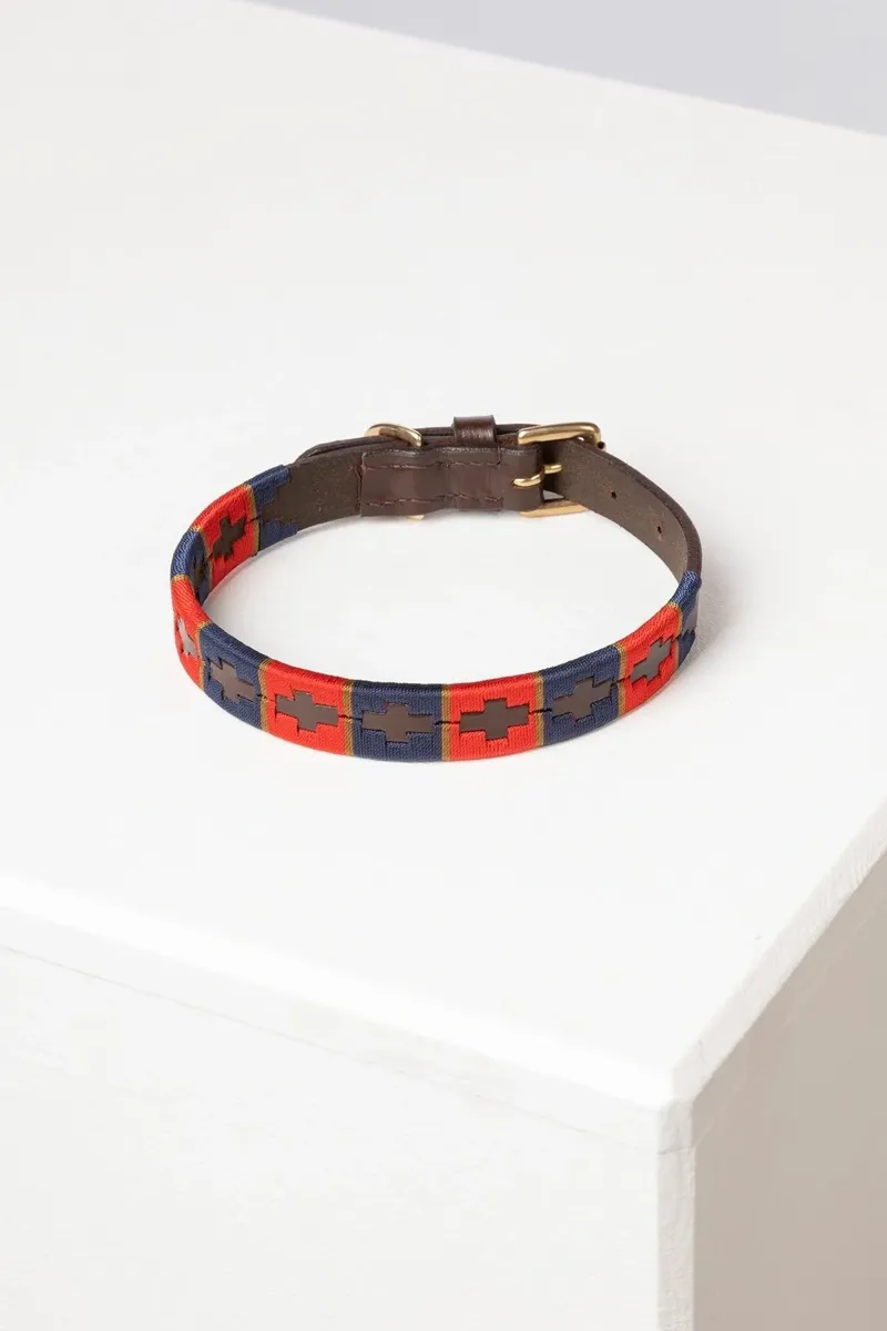 Rydale Polo Belt Dog Collar - Navy/Red/Gold-1