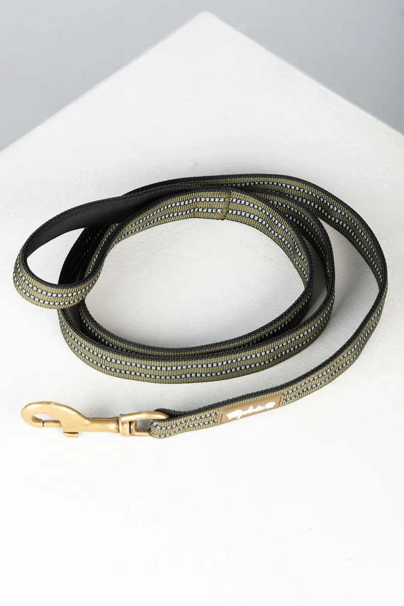 Rydale Reflective Yapham Dog Lead - Olive-1