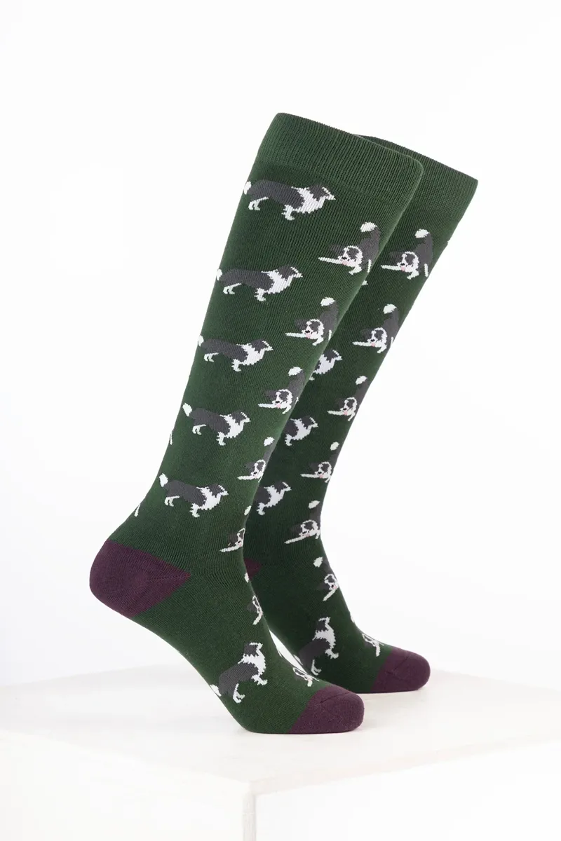 Rydale Women's Dog Welly Socks Pack of 10 - Border Collie Dark Olive