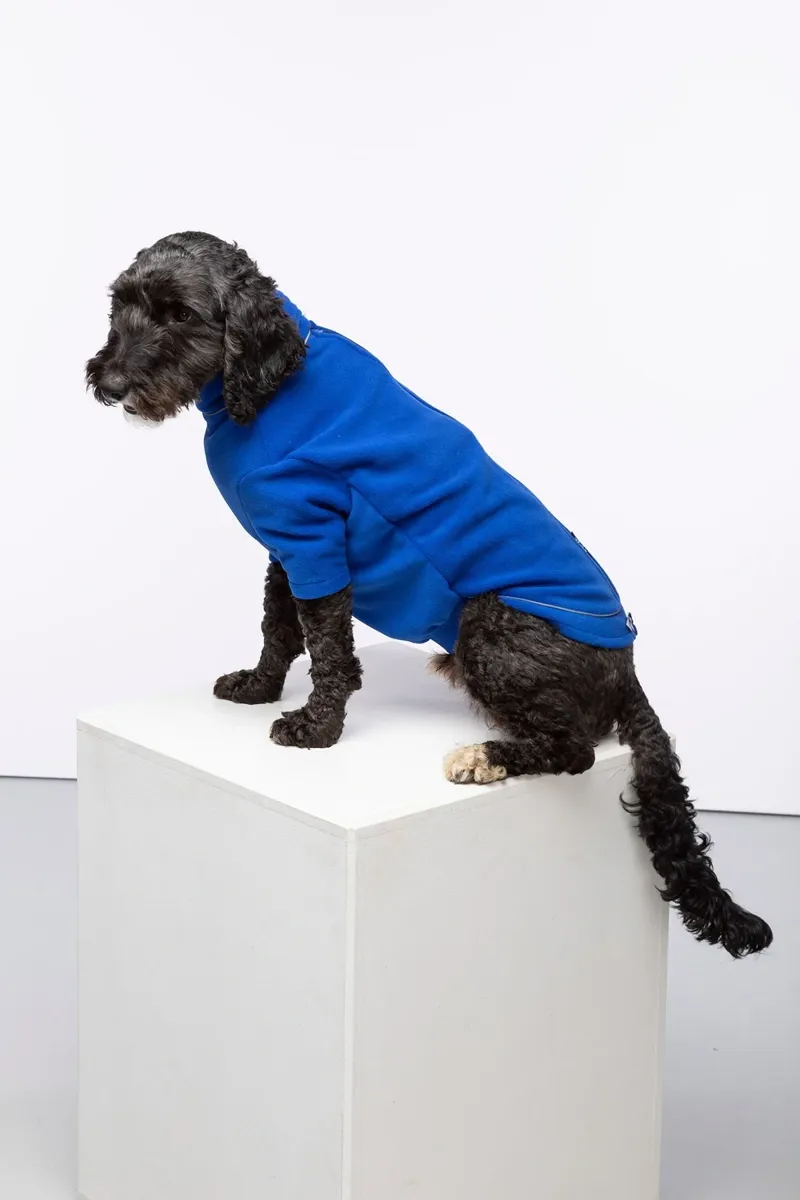 Rydale Yapham Fleece Dog Jumper - Blue-1