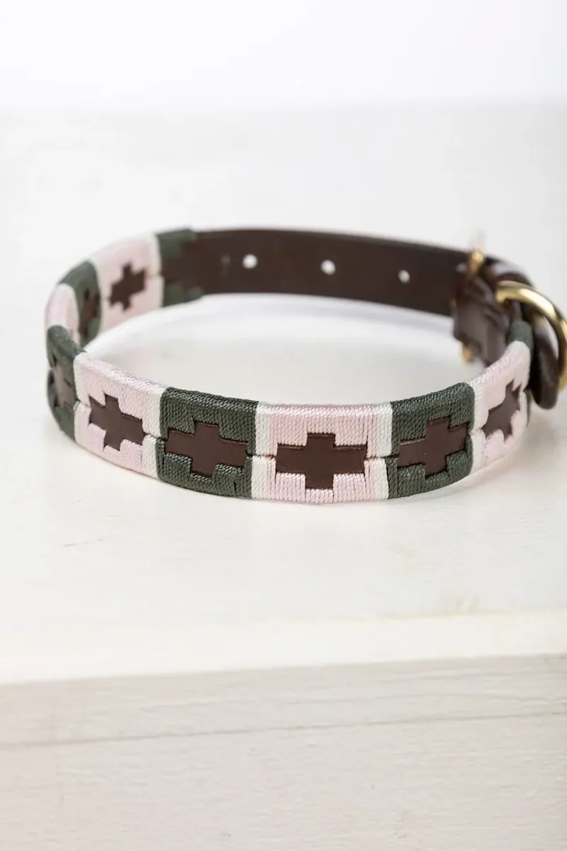 Rydale Polo Belt Dog Collar - Olive/White/Sorbet-1