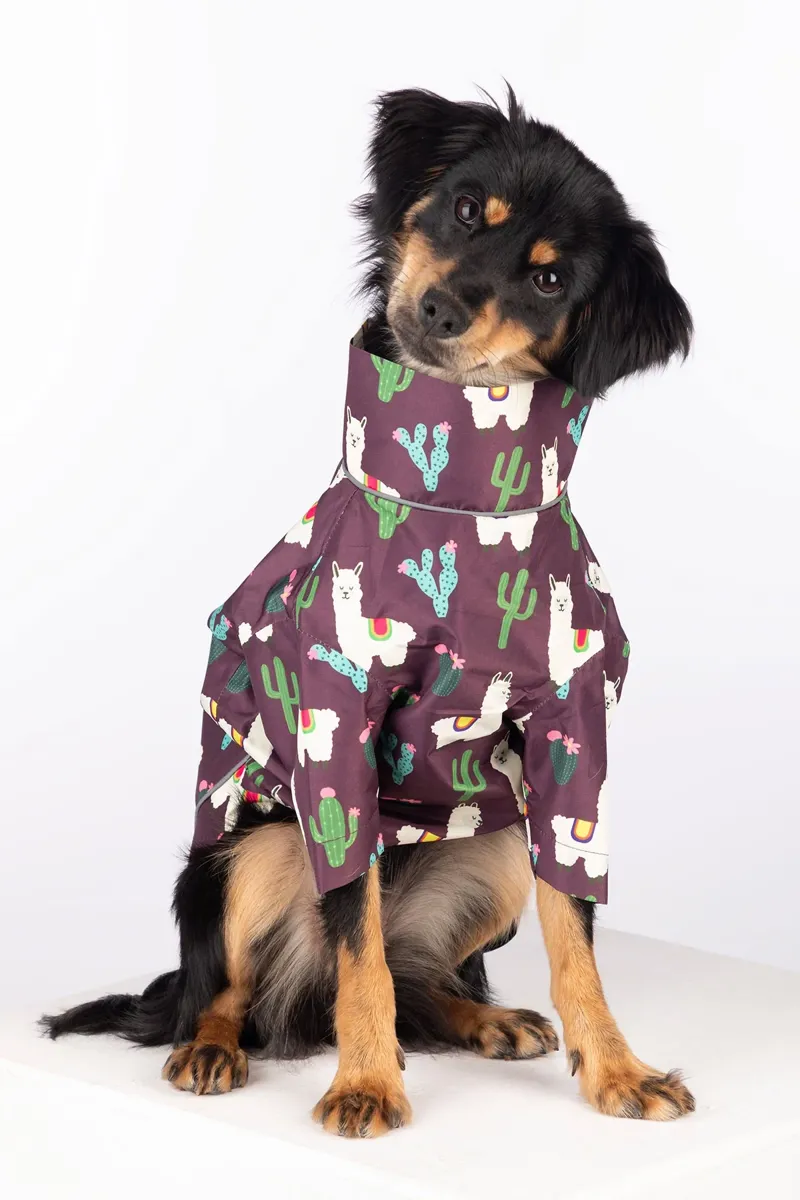 Rydale Yapham Patterned Dog Raincoats - Llama