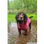 Rydale Yapham Fleece Dog Jumper - Bonbon