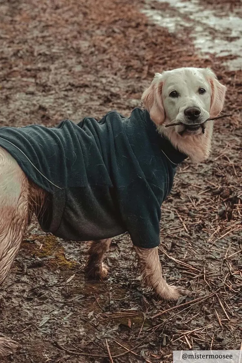 Rydale Yapham Fleece Dog Jumper - Forest