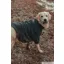 Rydale Yapham Fleece Dog Jumper - Forest