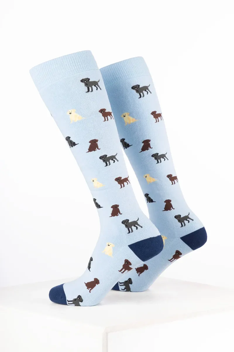 Rydale Women's Dog Welly Socks Pack of 10 - Labrador Soft Blue-1