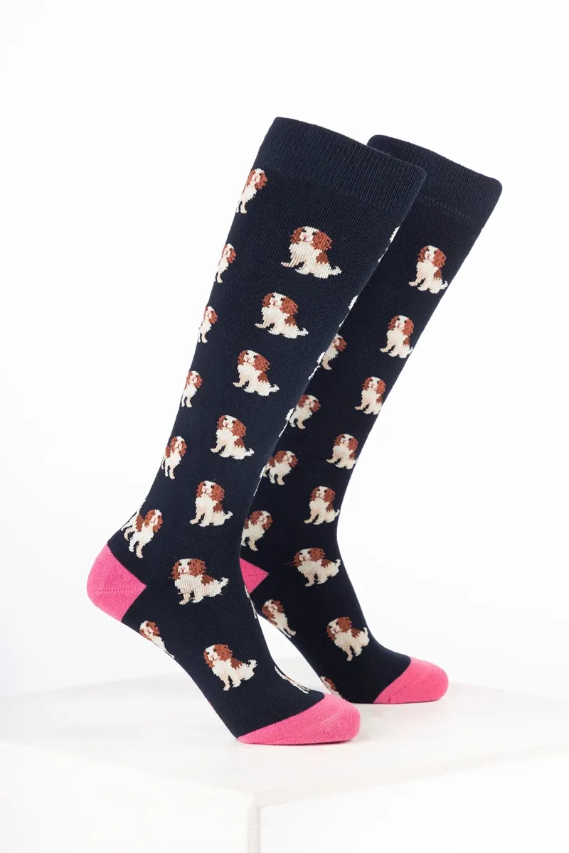 Rydale Women's Dog Welly Socks Pack of 10 - Spaniel Navy
