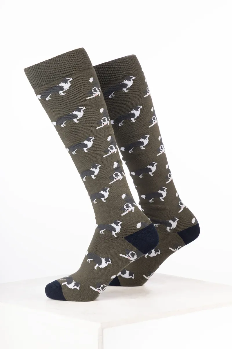 Rydale Men's Dog Welly Socks Pack of 10 - Border Collie Dark Olive-1