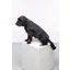 Rydale Yapham Fleece Dog Jumper - Charcoal