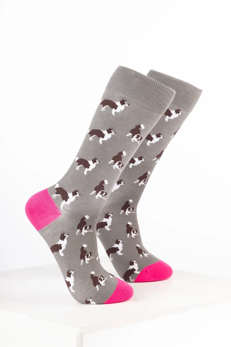 Rydale Women's Bamboo Rich Dog Ankle Socks Pack of 10 - Border Collie Grey