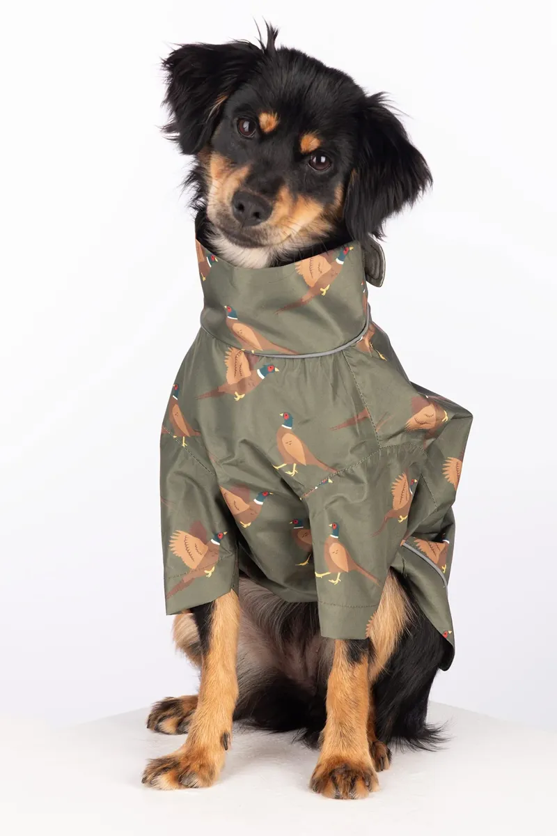Rydale Yapham Patterned Dog Raincoats - Pheasant