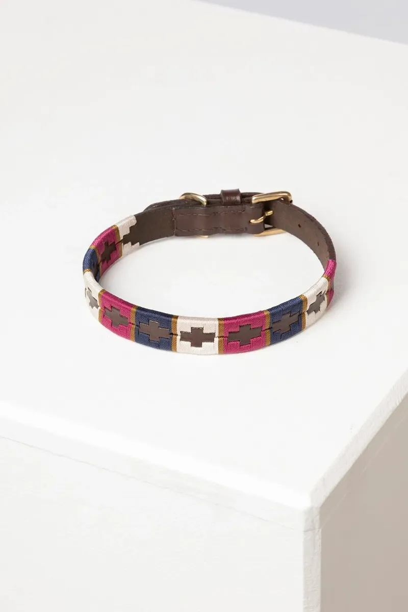 Rydale Polo Belt Dog Collar - Berry/Navy/Gold-1