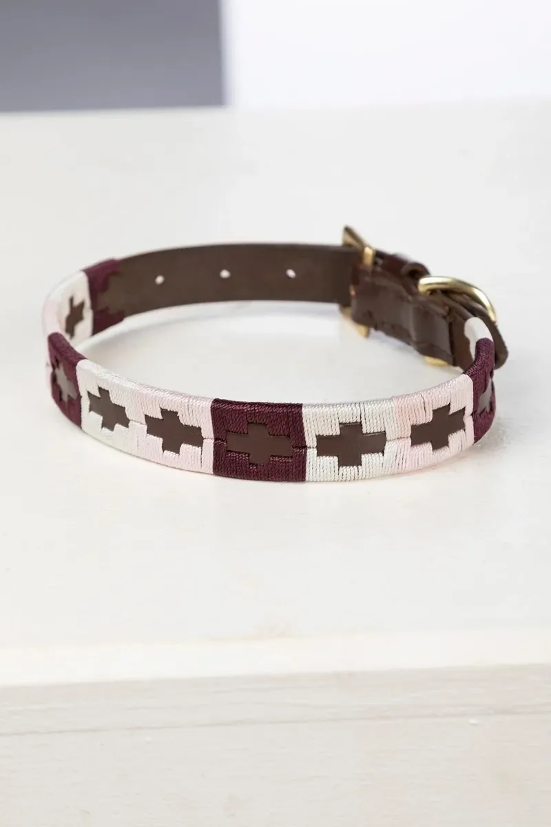 Rydale Polo Belt Dog Collar - Berry/White/Sorbet-1