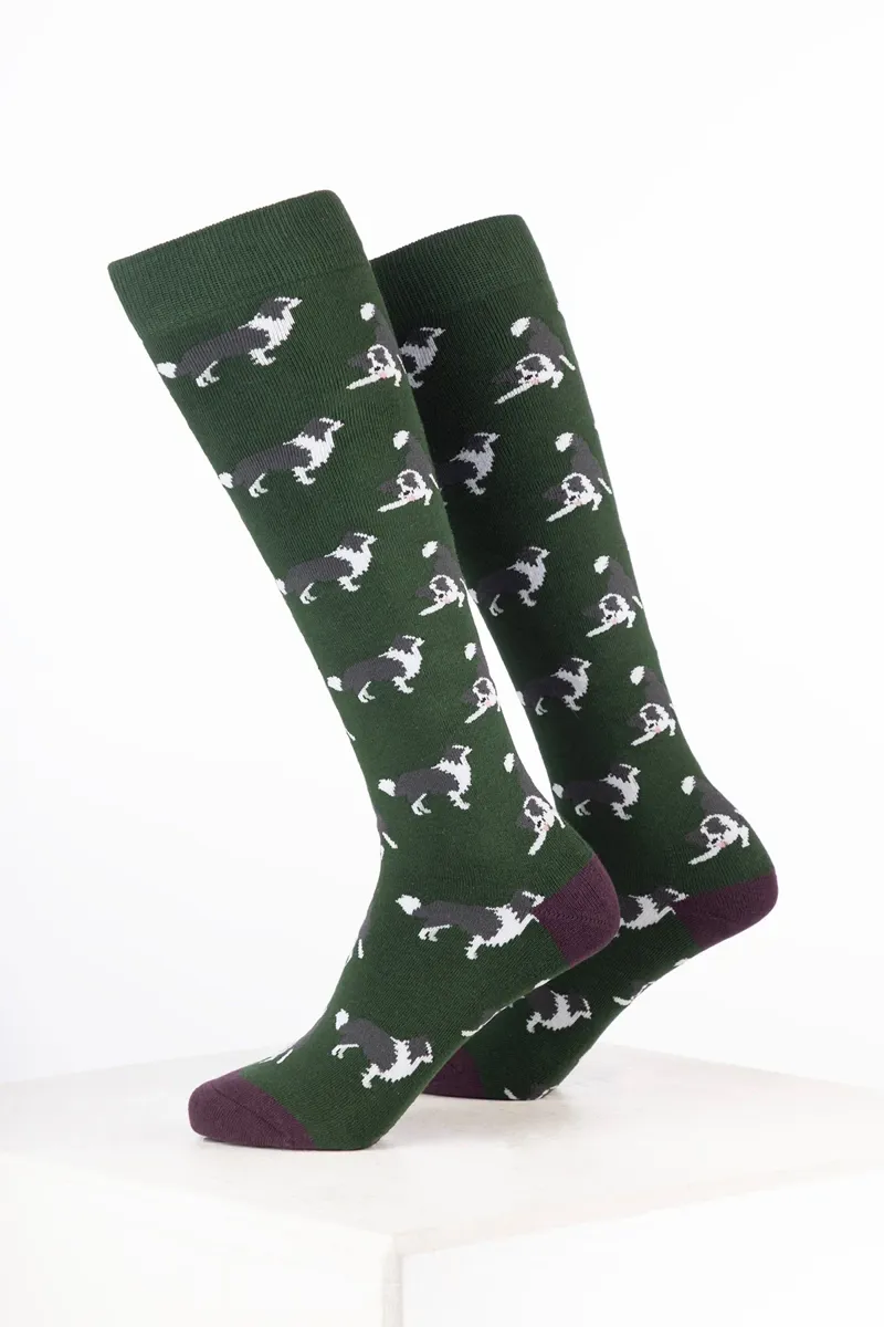 Rydale Women's Dog Welly Socks Pack of 10 - Border Collie Dark Olive-1