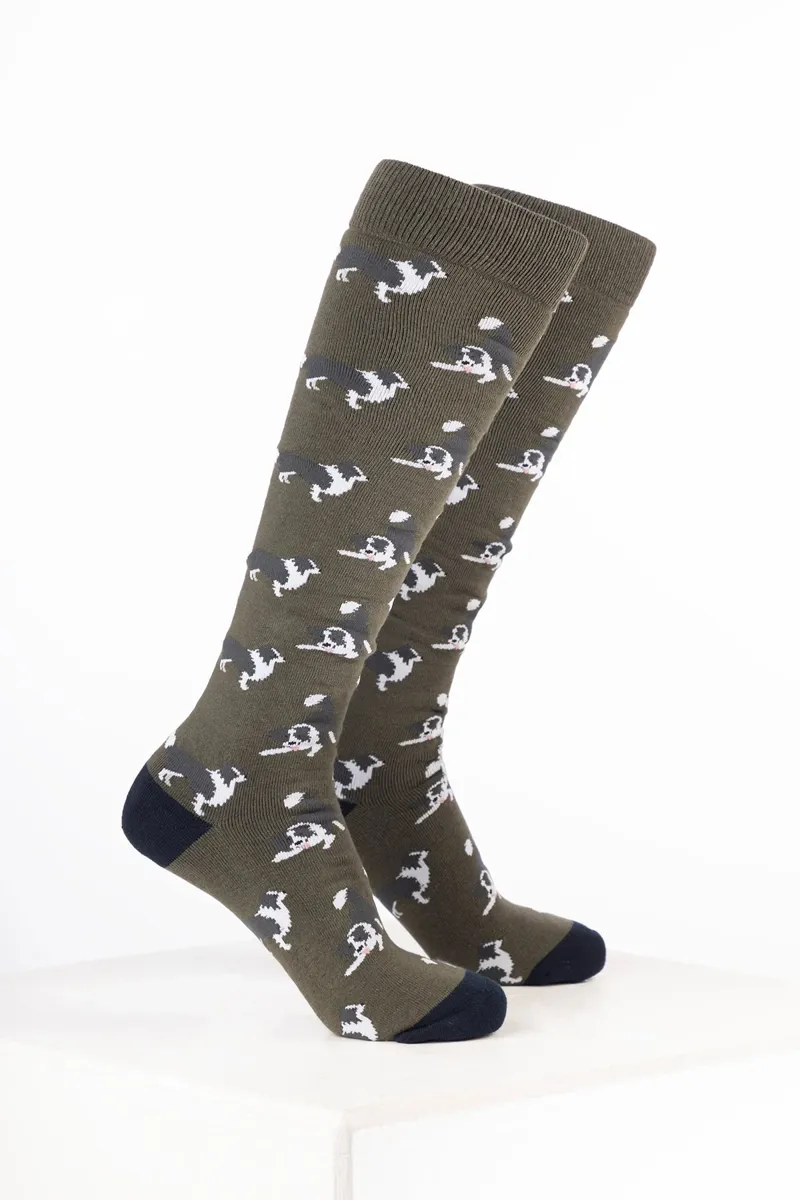 Rydale Men's Dog Welly Socks Pack of 10 - Border Collie Dark Olive