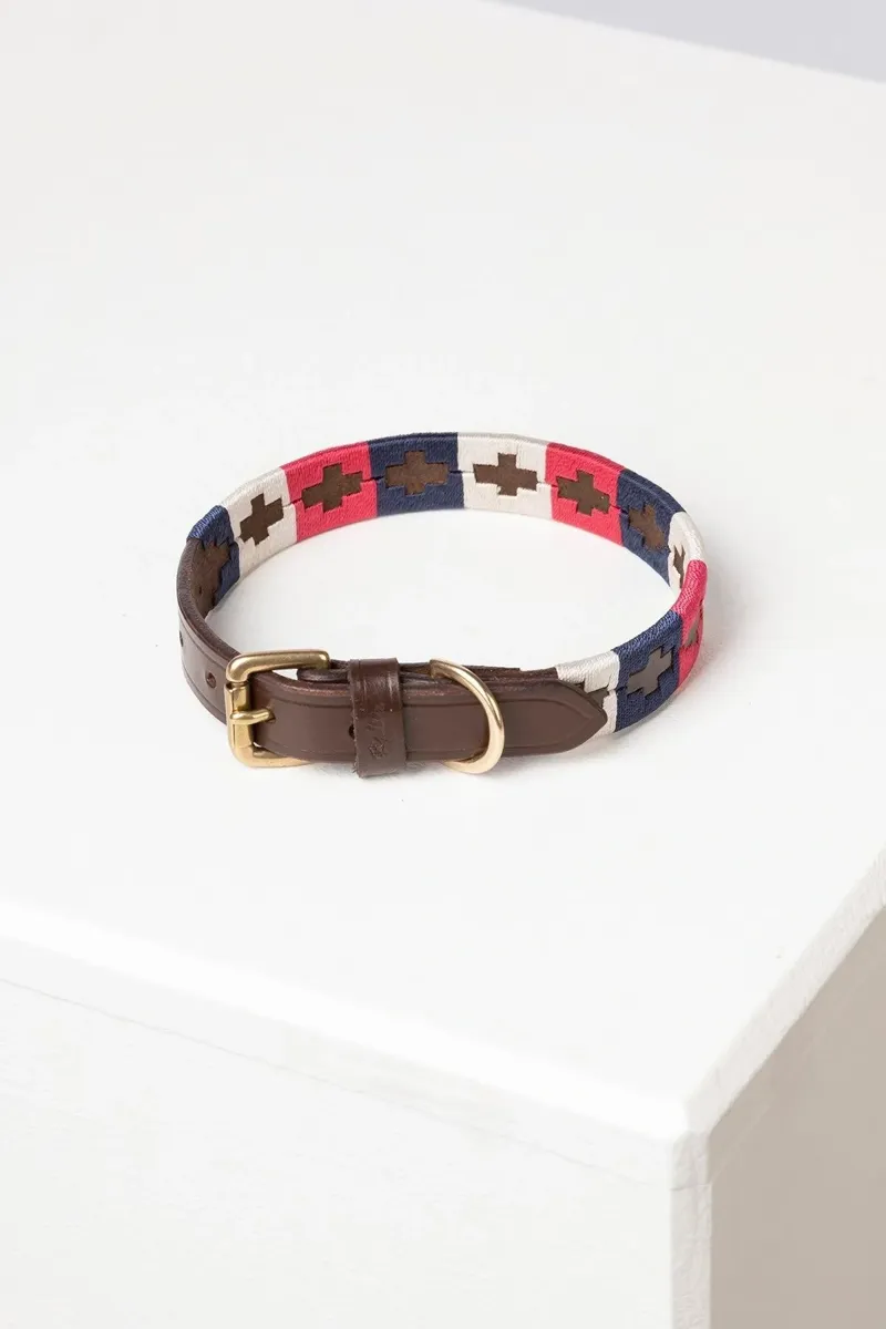 Rydale Polo Belt Dog Collar - Navy/Bonbon/Vanilla