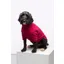 Rydale Yapham Fleece Dog Jumper - Ruby
