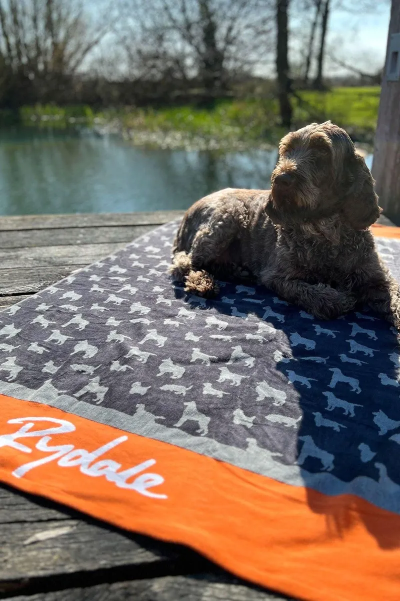 Rydale Medium Dog Yapham Drying Towel - Grey-4
