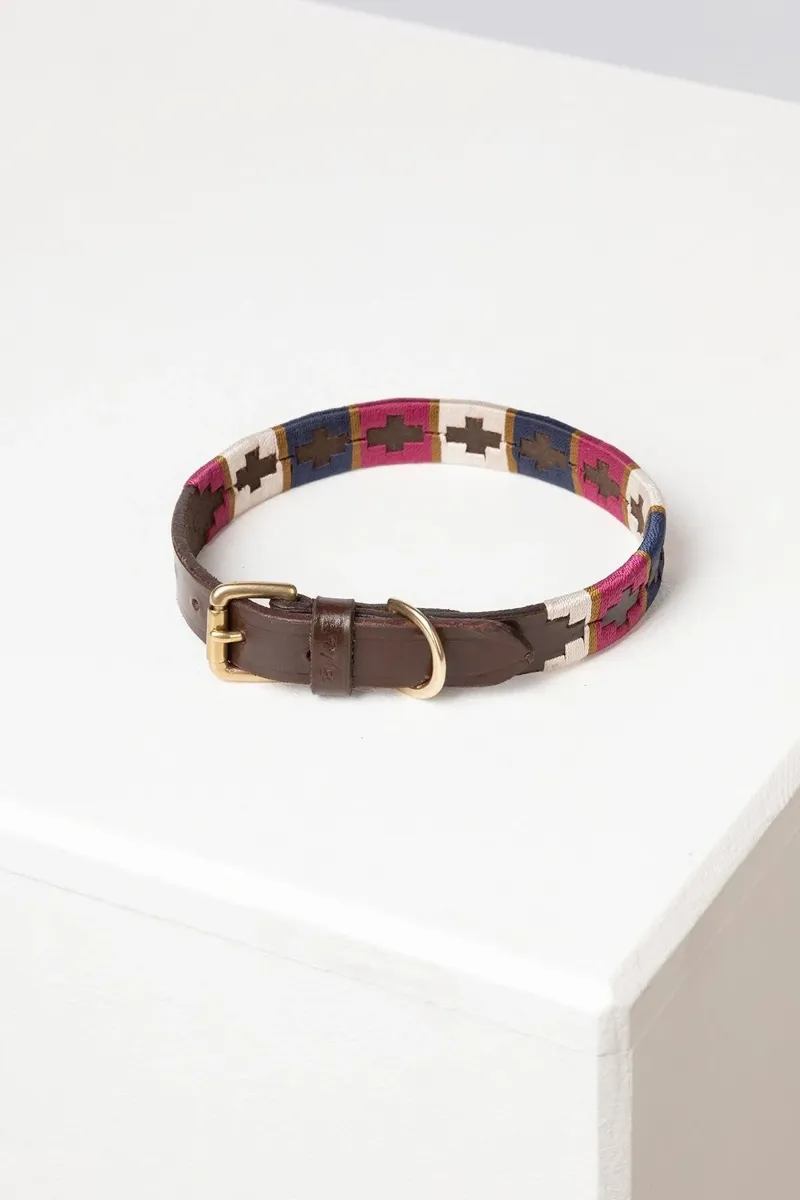 Rydale Polo Belt Dog Collar - Berry/Navy/Gold