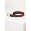 Rydale Askwith Polo Belts - Red/Navy/Gold