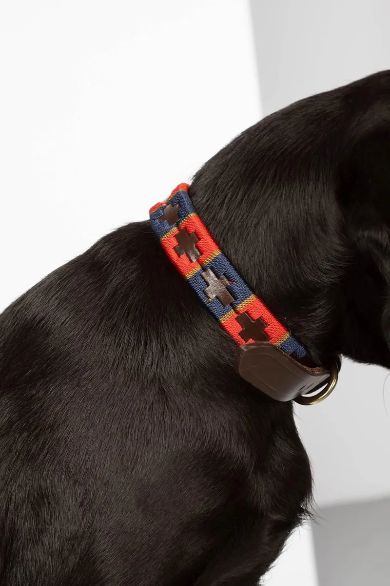 Rydale Polo Belt Dog Collar - Navy/Red/Gold-3