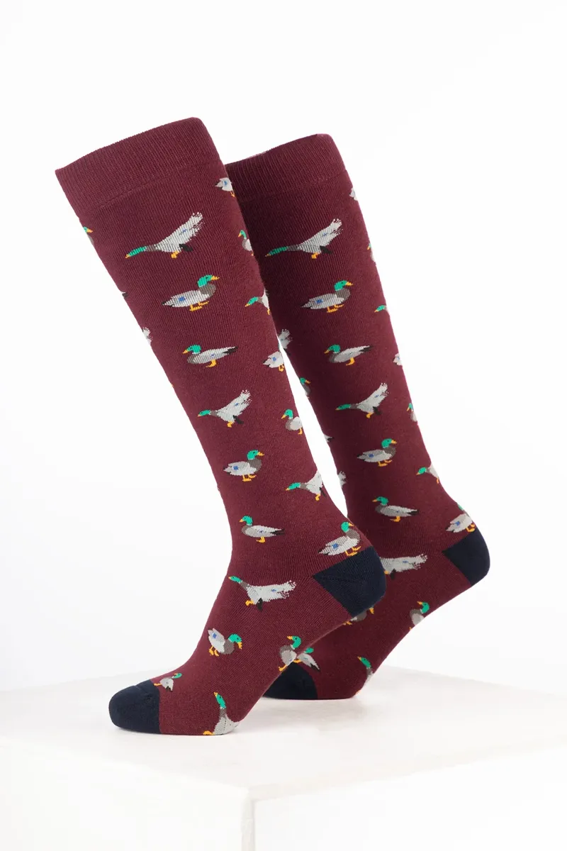 Rydale Men's Bird Welly Socks Pack of 10 - Duck Wine-1