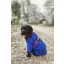 Rydale Yapham Fleece Dog Jumper - Blue
