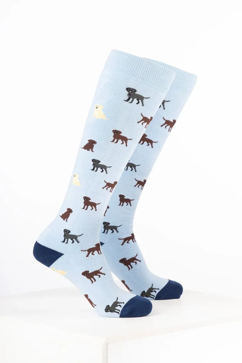 Rydale Women's Dog Welly Socks Pack of 10 - Labrador Soft Blue