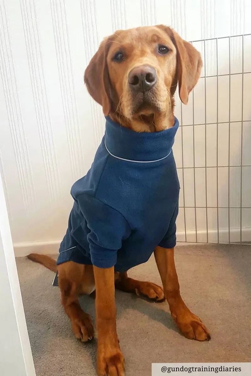 Rydale Yapham Fleece Dog Jumper - Denim