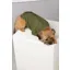 Rydale Yapham Dog Raincoats - Dark Olive