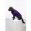 Rydale Yapham Fleece Dog Jumper - Purple