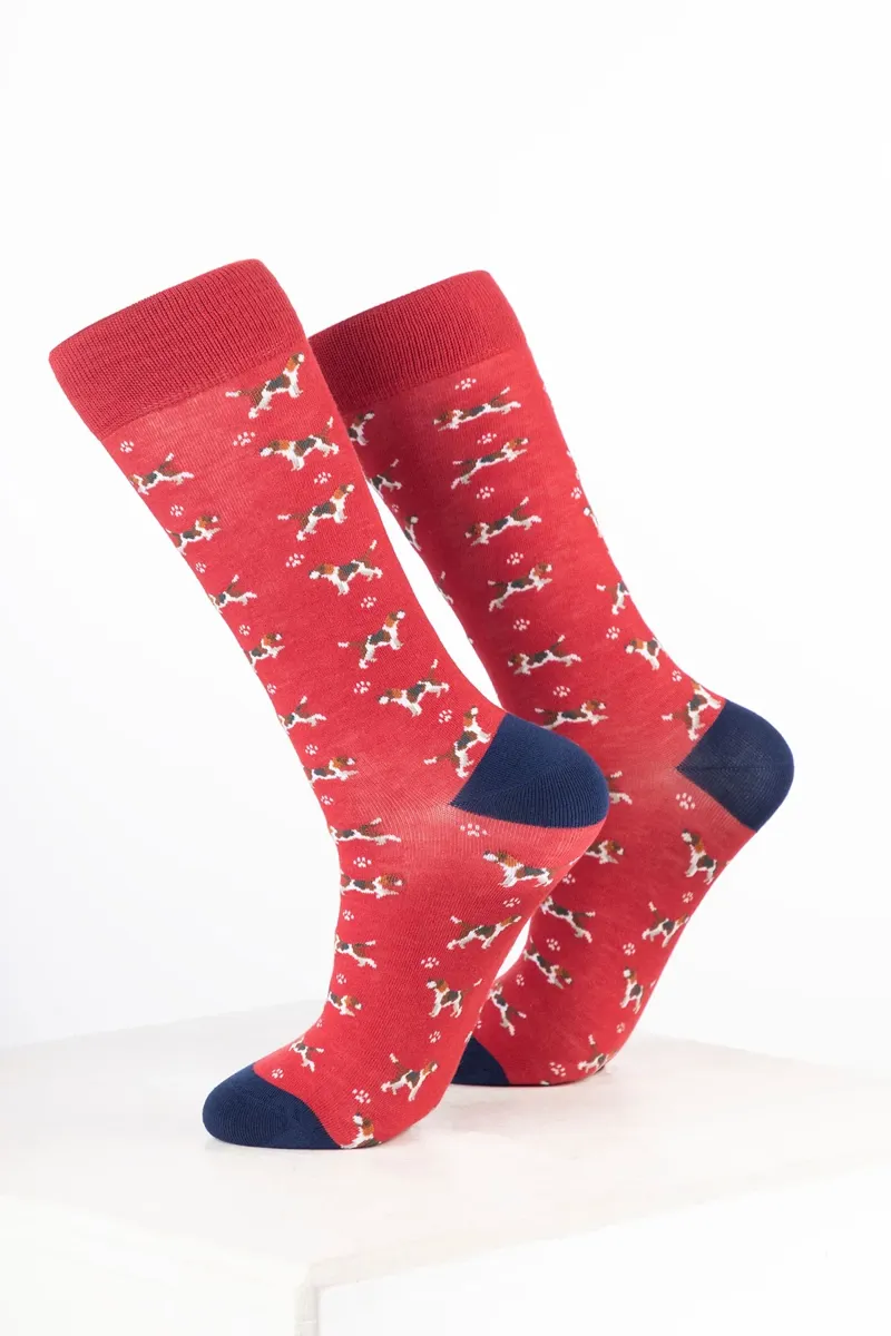Rydale Women's Bamboo Rich Dog Ankle Socks Pack of 10 - Beagle Strawberry-1