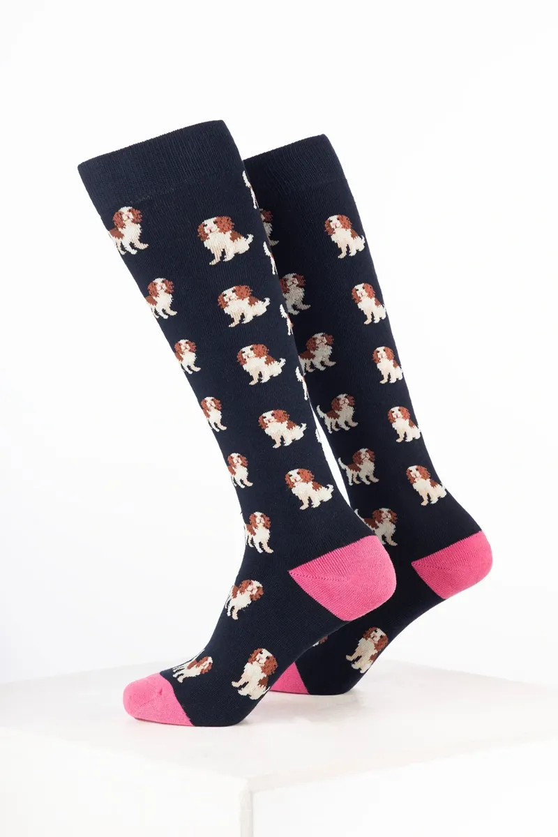 Rydale Women's Dog Welly Socks Pack of 10 - Spaniel Navy-1