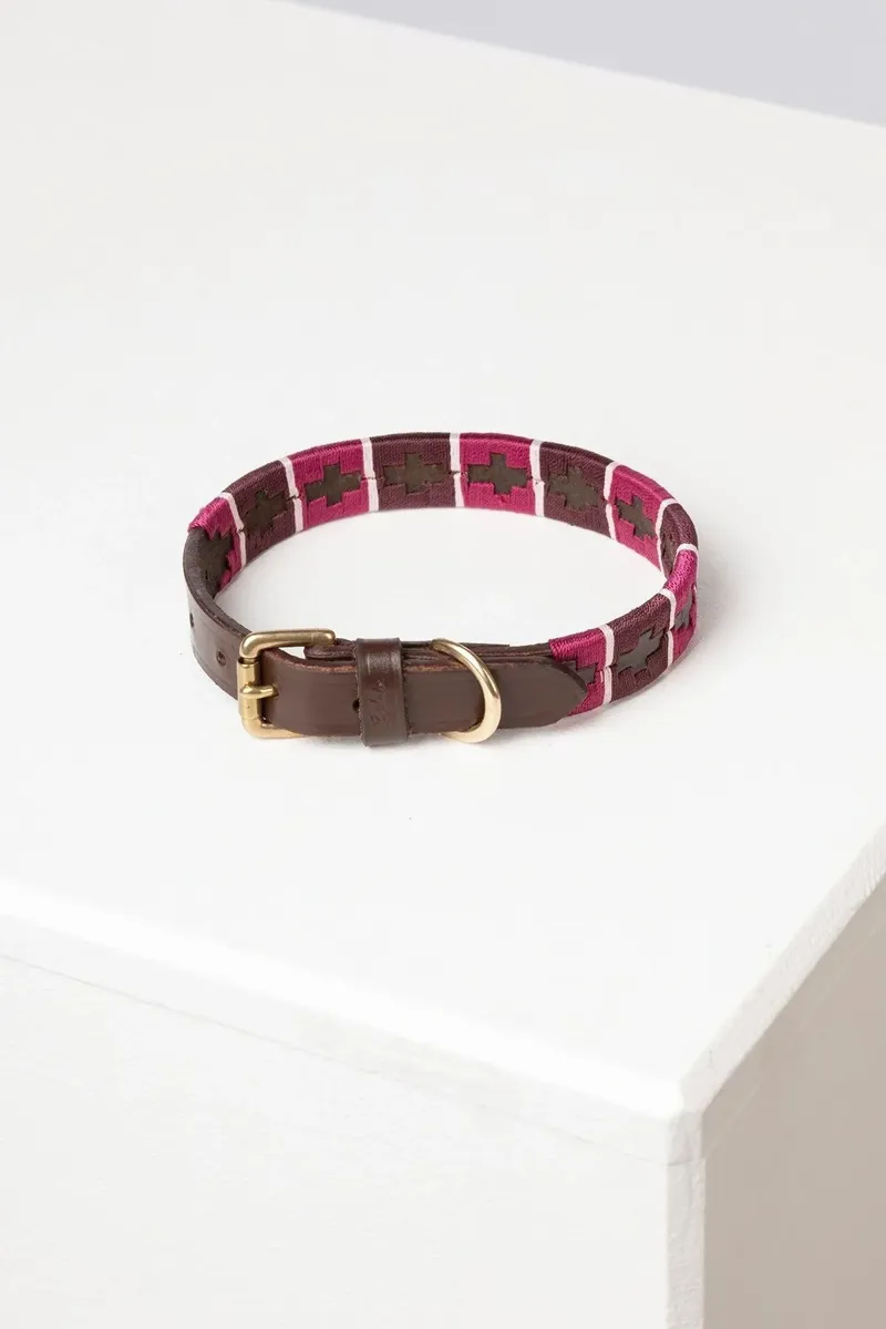 Rydale Polo Belt Dog Collar - Berry/Damson/Sorbet