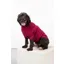 Rydale Yapham Fleece Dog Jumper - Mulberry