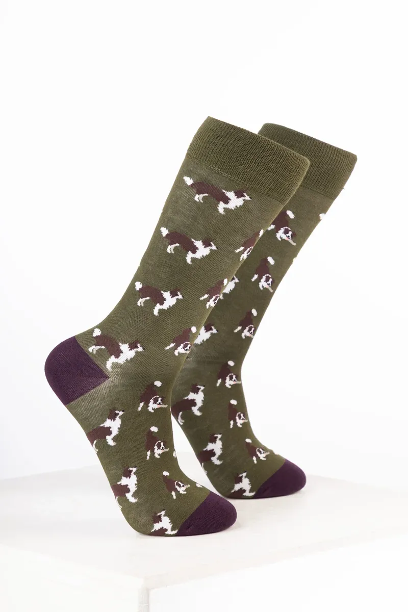 Rydale Women's Bamboo Rich Dog Ankle Socks Pack of 10 - Border Collie Dark Olive
