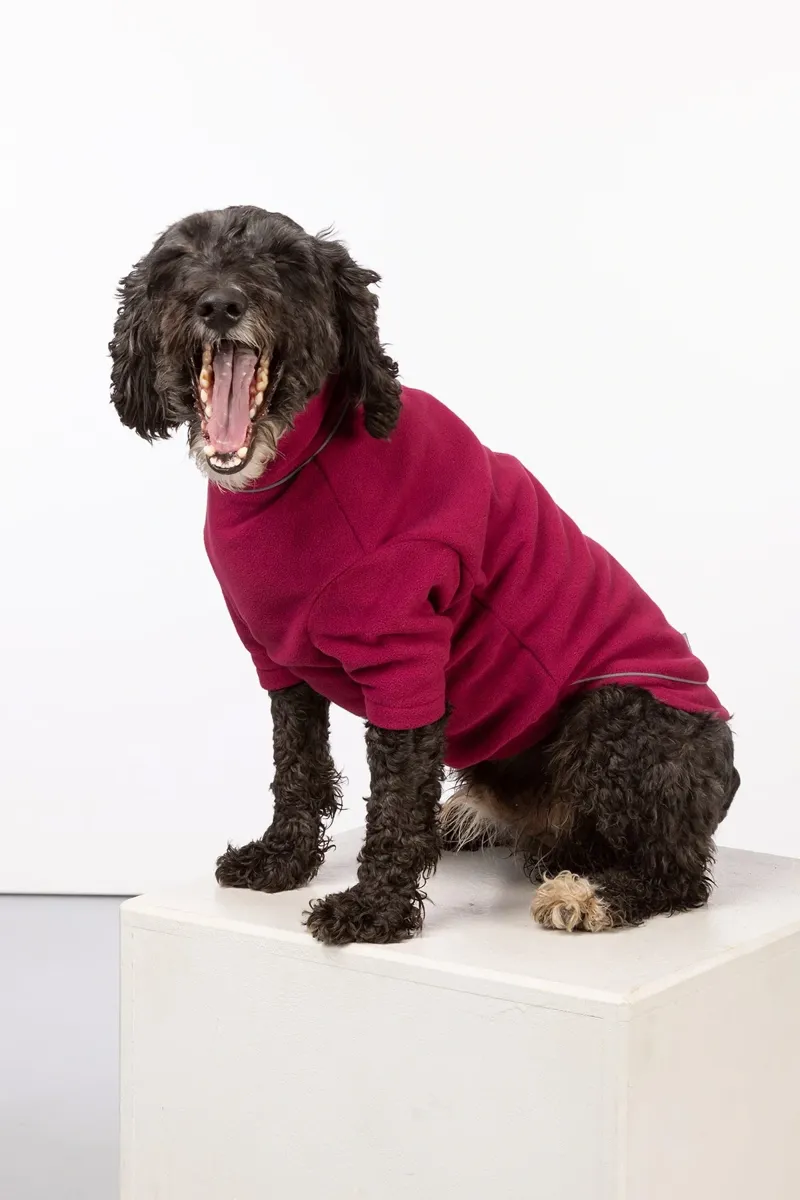 Rydale Yapham Fleece Dog Jumper - Mulberry-1