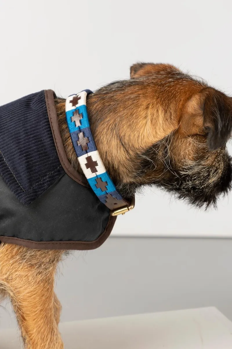 Rydale Polo Belt Dog Collar - Blue/White/Navy-3