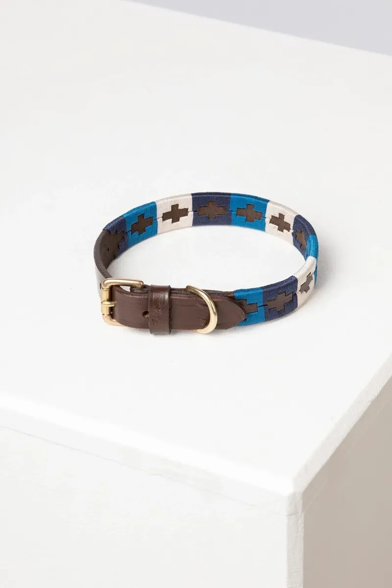 Rydale Polo Belt Dog Collar - Blue/White/Navy