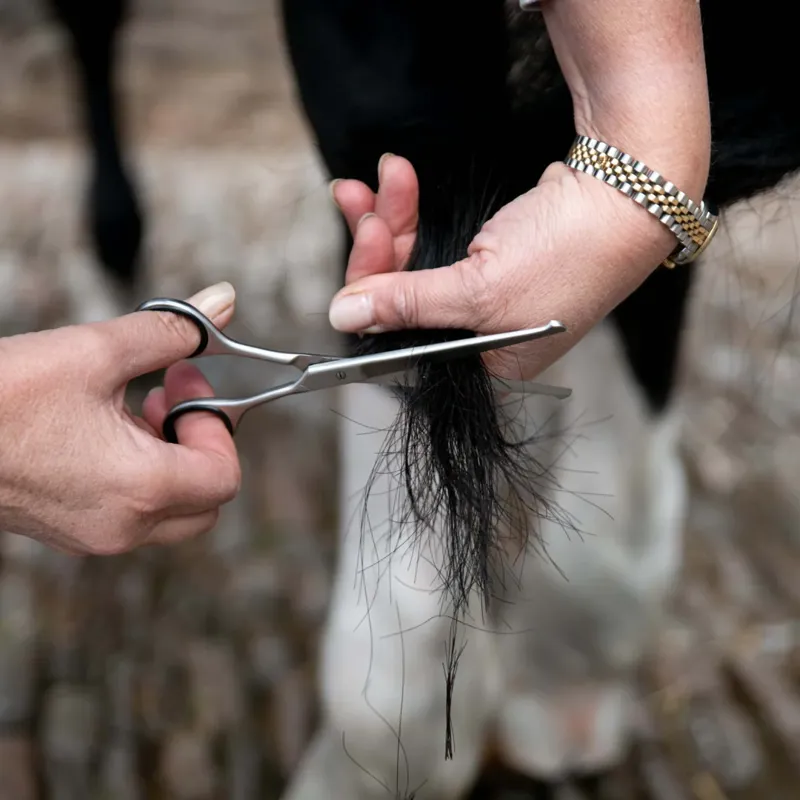 Smart Grooming Straight Safety Scissors - 6.5/16.5cm-1