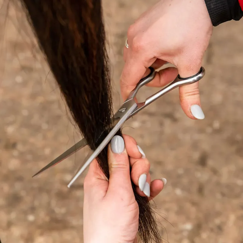 Smart Grooming Pointed Tail Scissors - 7.5/19cm-1